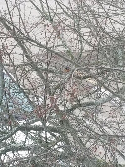 20210204_122109.jpg