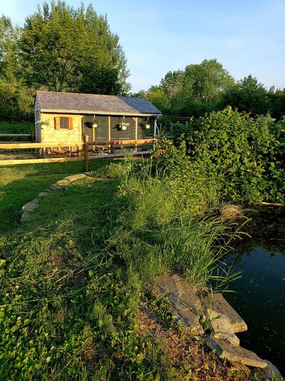 duckhouse 2018 summer with pond.jpg