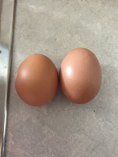 C2351875-33C8-400E-A546-BDADEAA7920D.jpeg