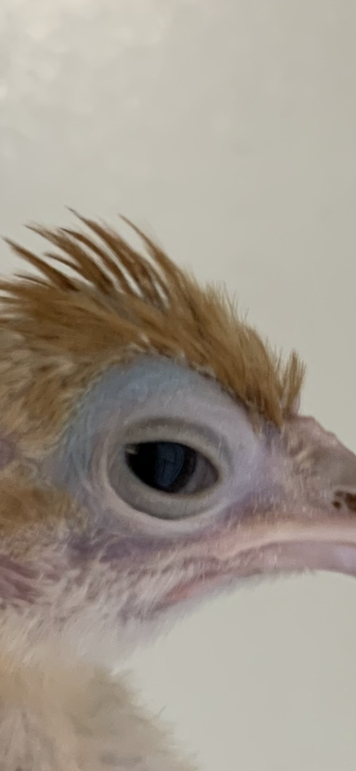 8F504D73-C26D-41A4-BDFC-AABF67C402B3.png