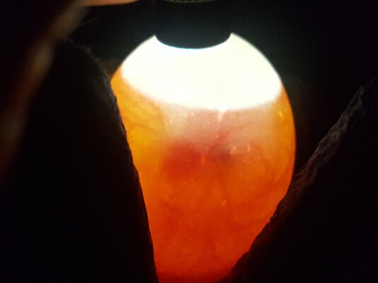20210210_072129.jpg