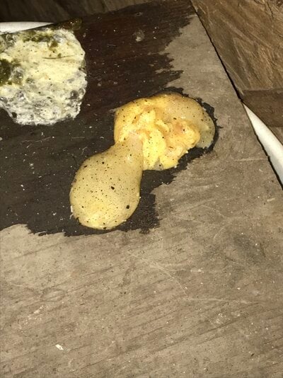 IMG_0621.JPG IMG_0621.JPG