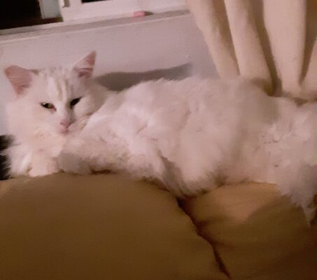 20210212_181500.jpg