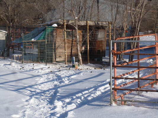 wild birds 2-16-21.jpg