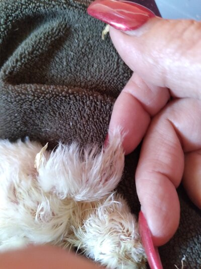 20210220_152812.jpg