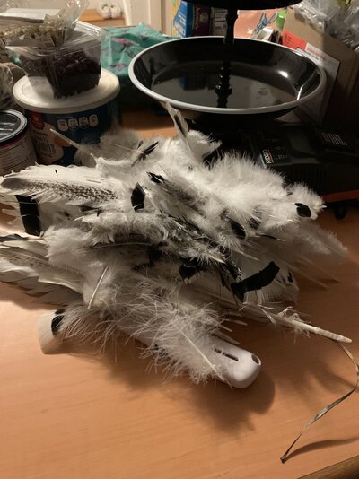 F3B61349-CF86-4EA8-BAAF-796125ADA46E.jpeg