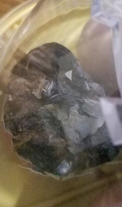 20210222_100434.jpg