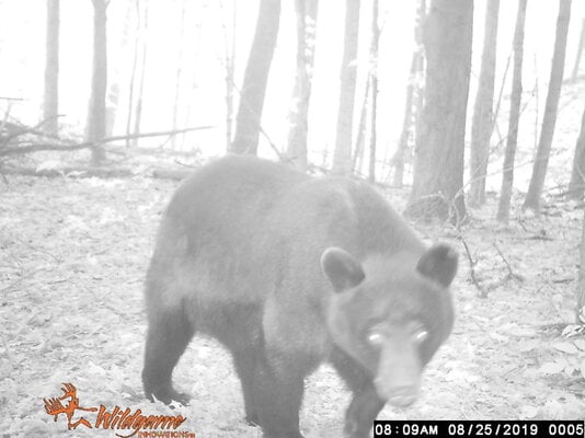 9.7.19 cam 005.JPG
