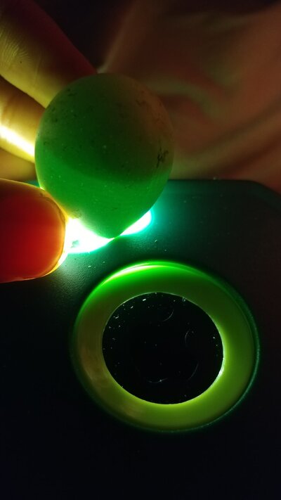 20210302_143633.jpg
