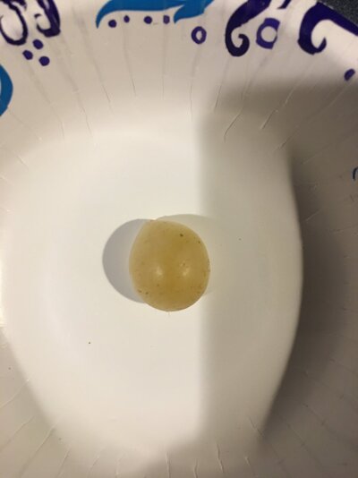 0E2BCF1F-077F-43B0-A0D6-FB73D218CFBF.jpeg