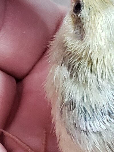 20210308_032216.jpg