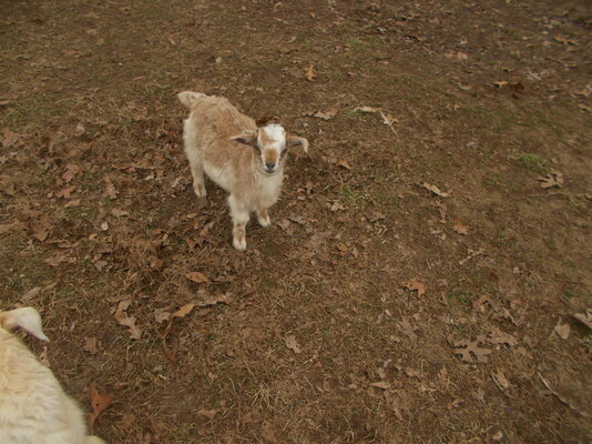 DSCN7561.JPG