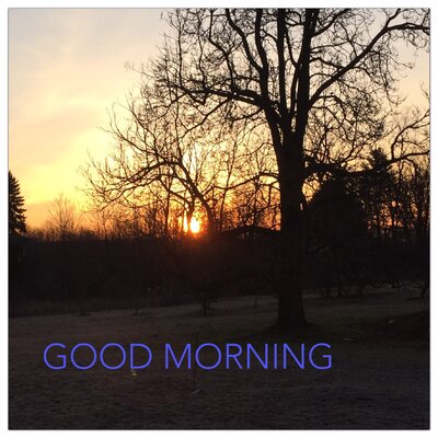 C1D0FFC9-63B5-4888-B4B3-A8BB9B474218.jpeg