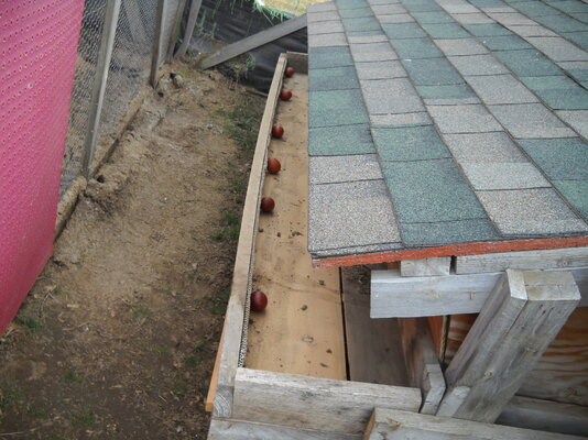 DSCN0621.JPG