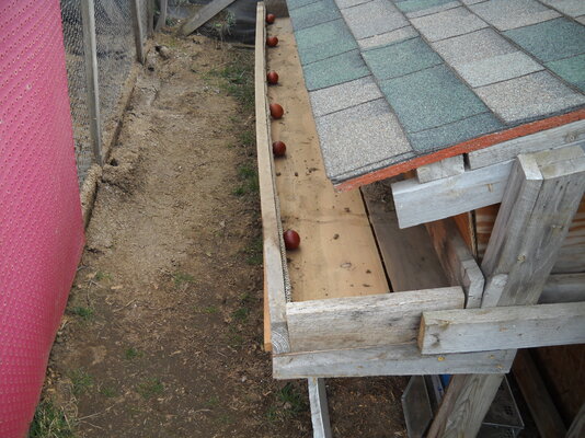 DSCN0620.JPG