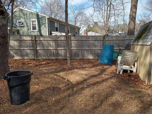 chicken run area 1.jpg