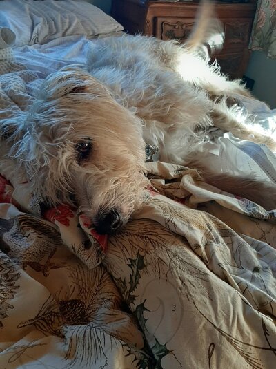 20201224_085415.jpg