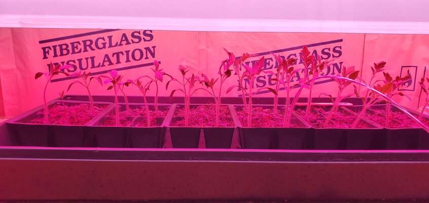 sprout-station-06.jpg