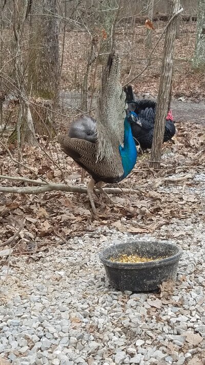 20201228_110110.jpg