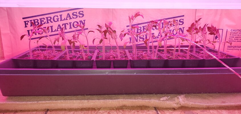sprout-station-07.jpg
