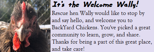 WELCOMEWALLY.png