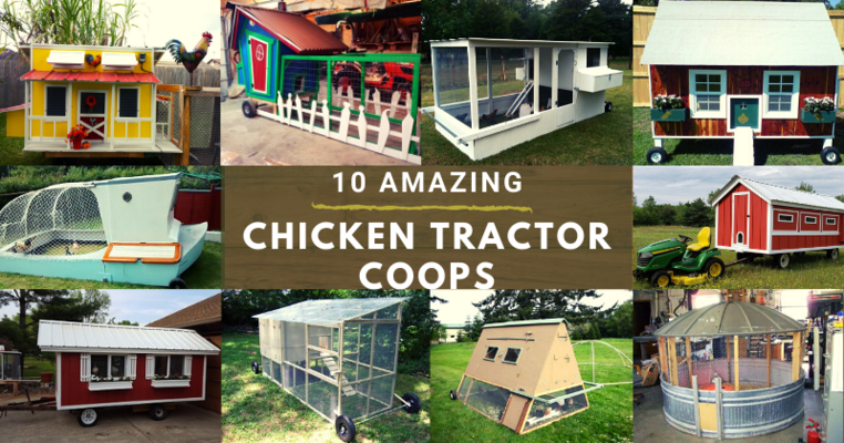 10 Amazing Chicken Tractor Coops