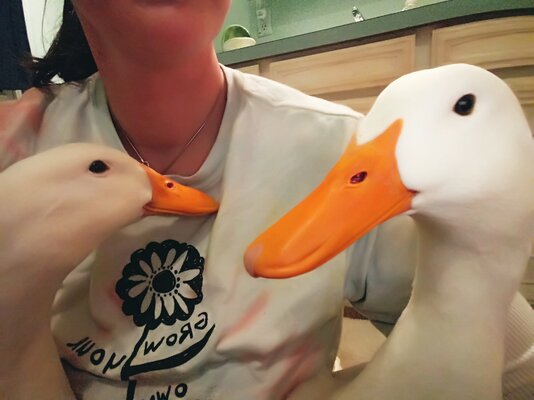 20201207_210933.jpg