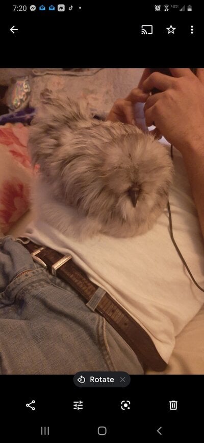 Screenshot_20210323-192015_Photos.jpg