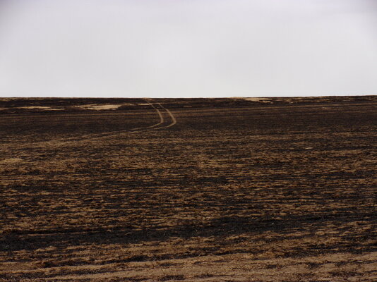 Fire March 20,2021 at Farm 002.JPG