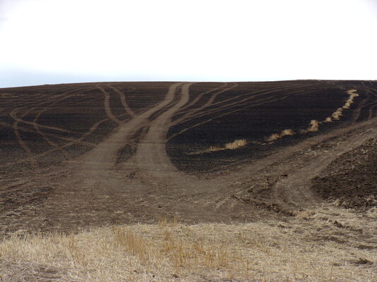 Fire March 20,2021 at Farm 005.JPG