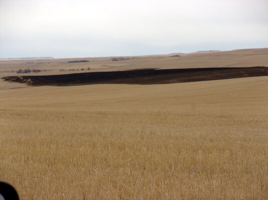 Fire March 20,2021 at Farm 007.JPG