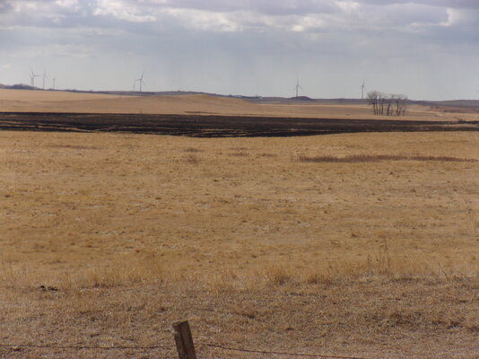 Fire March 20,2021 at Farm 021.JPG