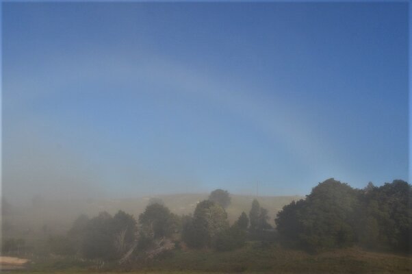 Fog bow 3.jpg