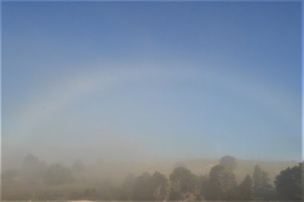 Fog bow.jpg