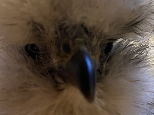 IMG_2367 5.23.48 PM.jpg