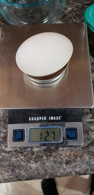 20210327_082444.jpg