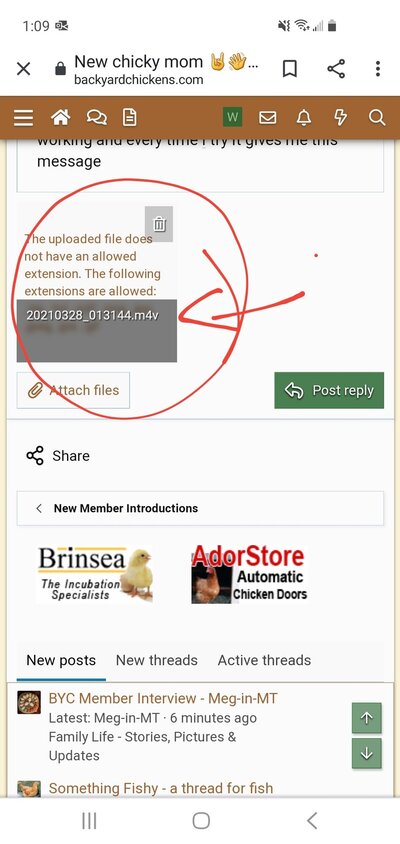 Screenshot_20210328-131339_Chrome.jpg