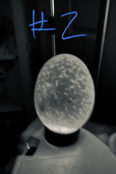 FA974B00-79B1-4527-B385-B574BD5D91F3.jpeg