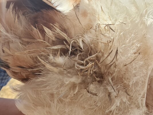 20210331_111638.jpg