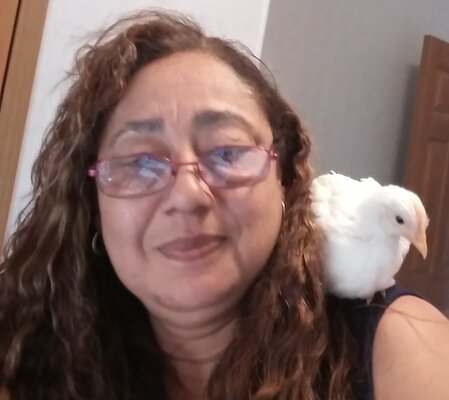 chickparrot.jpg chickparrot.jpg