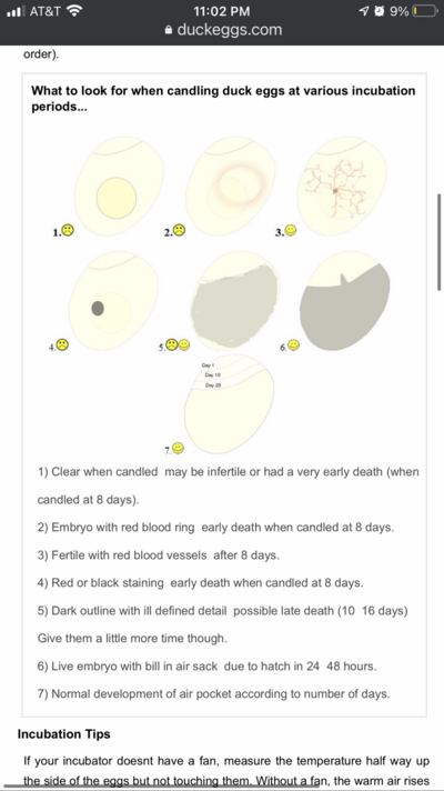 DBADAB80-93EE-4668-B6DE-FAD0203CA06D.png