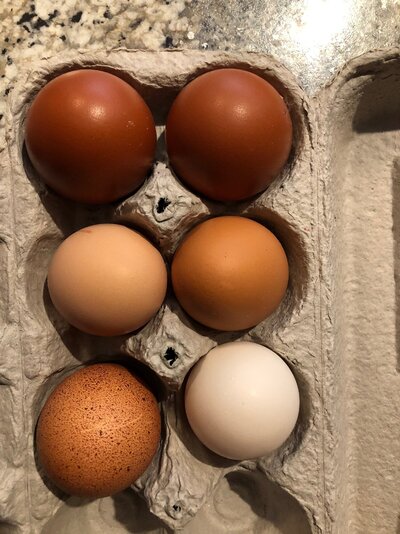 eggs.jpg