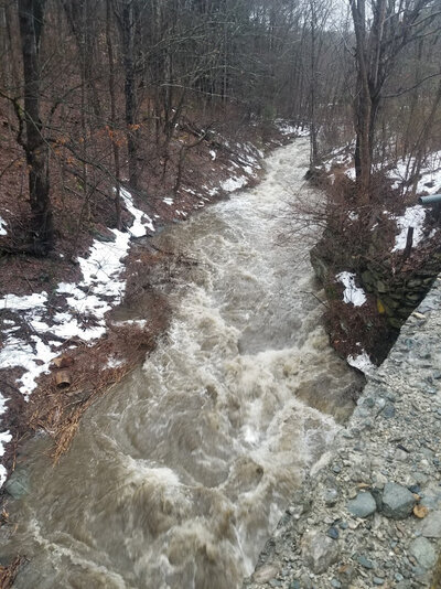 river3.jpg