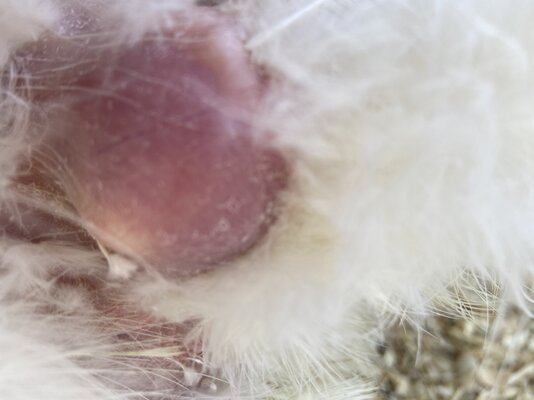 2D90AFE2-6B18-45C3-A563-CB6363899589.jpeg