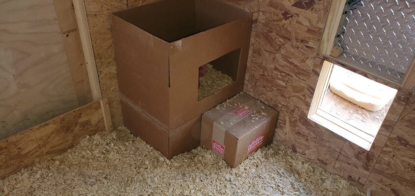 nest-box-mk5-02.jpg