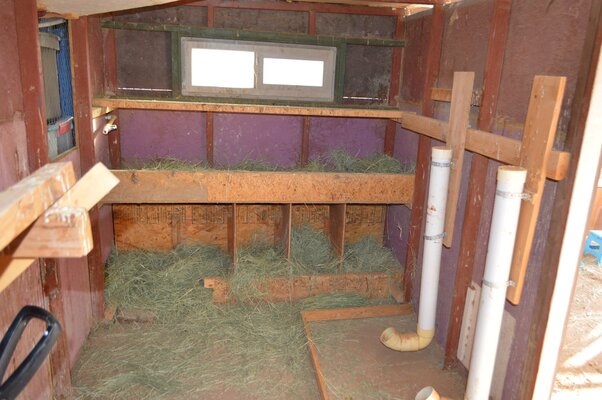 poop deck 01.jpg