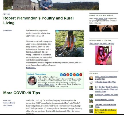 plamondon.com.jpg