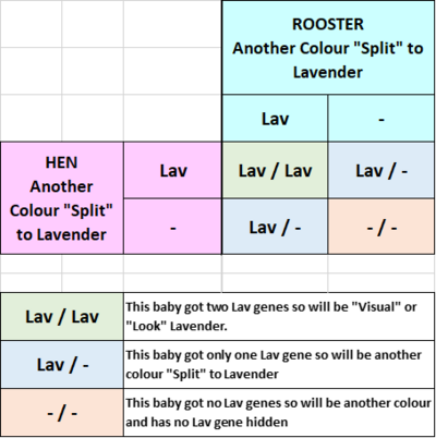 Lav Split Example.png