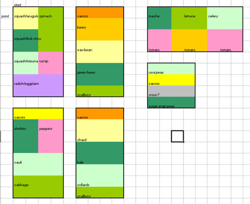 garden2020.jpg