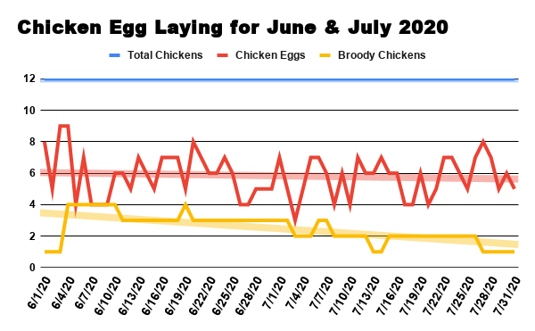 Chicken Egg Laying for June & July 2020.png